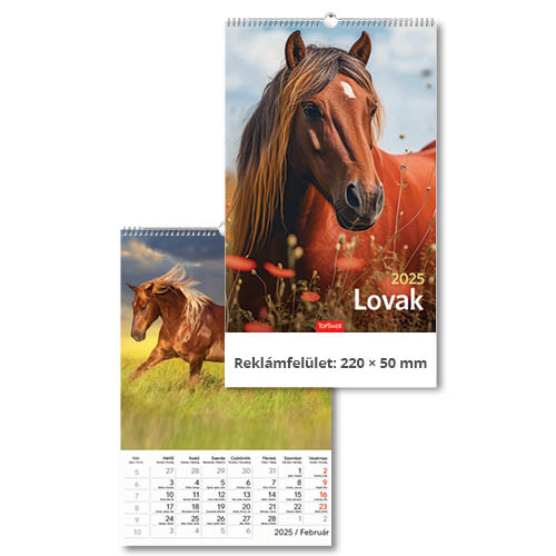 Falinapt&#225;r Lovak T094-07