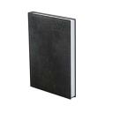 Agenda B/6 napi TRADITIONAL T022 fekete